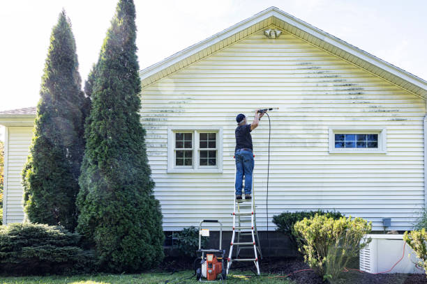 Best Driveway Pressure Washing  in Minooka, IL